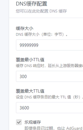 【软路由基础设置】软路由Adguard+passwall+smartdns设置流程 【软路由基础设置】软路由Adguard+passwall+smartdns设置流程